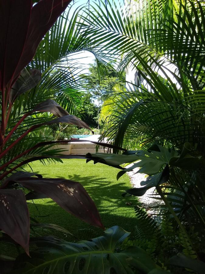 Palm Beach Inn Плая-Ґранде Екстер'єр фото